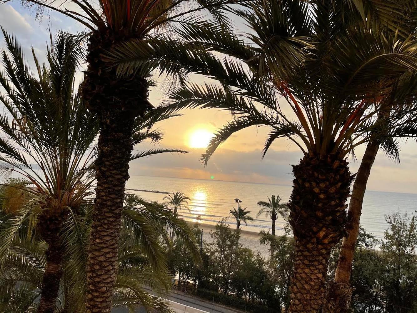 Gran Atico Con Terraza En El Centro De Alicante Kültér fotó